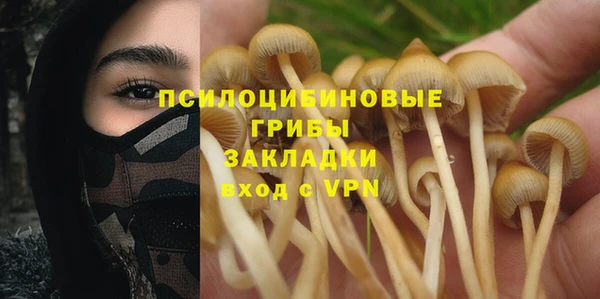 индика Богданович