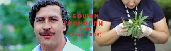 индика Белоозёрский