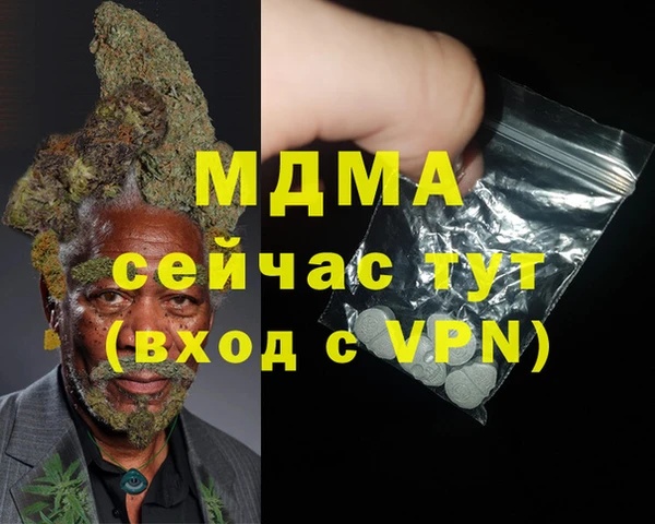 индика Богданович