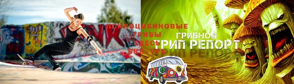 индика Белоозёрский